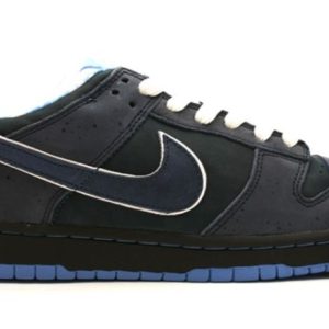 Dunk SB Low Blue Lobster Signature Footwear - Limited