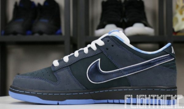 Dunk SB Low Blue Lobster Signature Footwear - Limited - Image 2