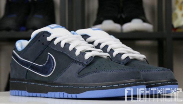 Dunk SB Low Blue Lobster Signature Footwear - Limited - Image 3